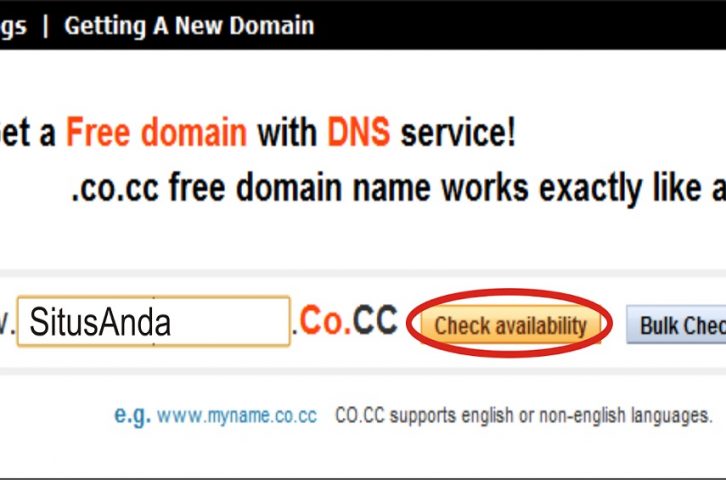 Domain co cc